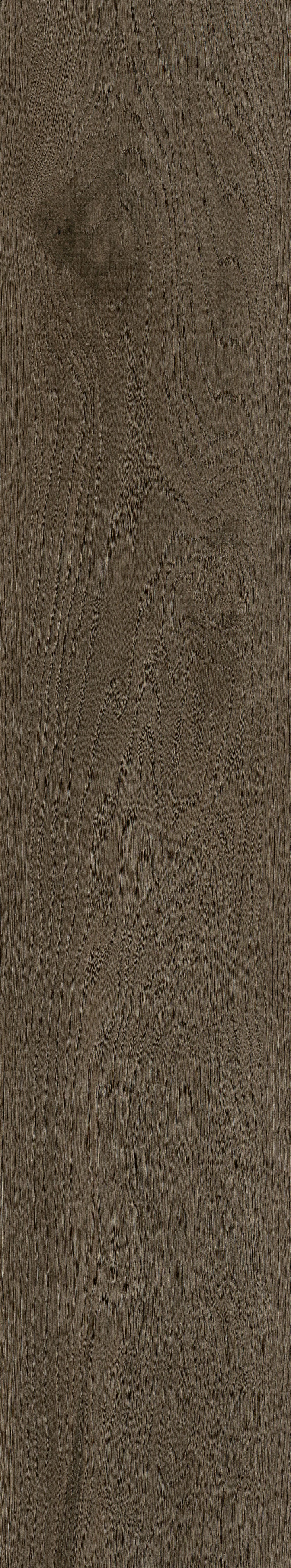 AVALON OAK DARK