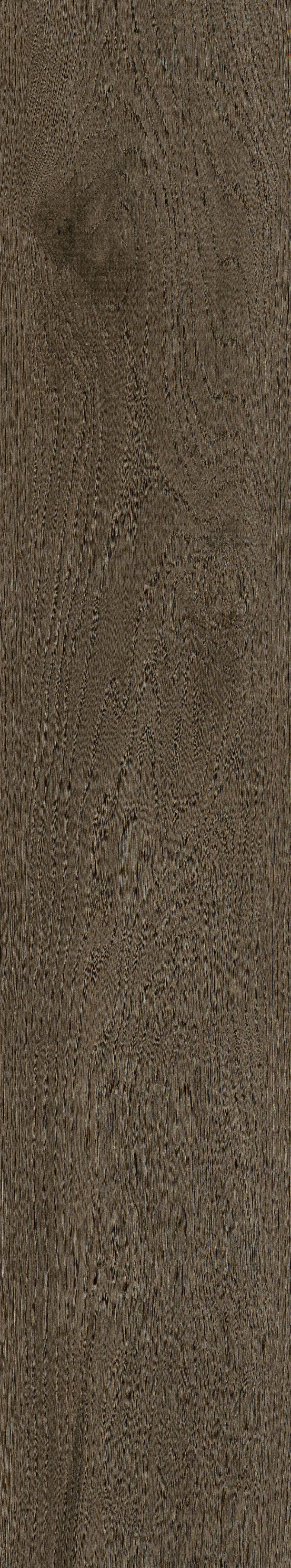 AVALON OAK DARK