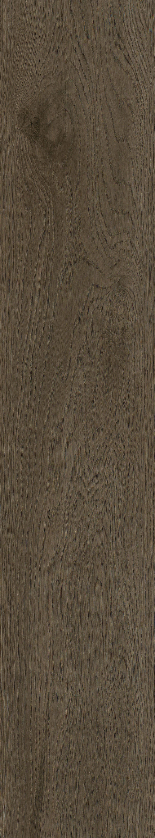 AVALON OAK DARK
