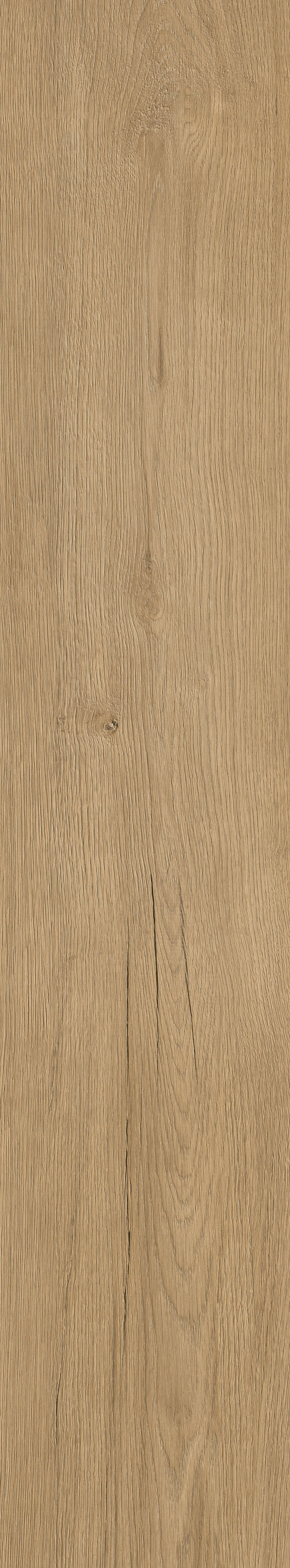 AVALON OAK LIGHT