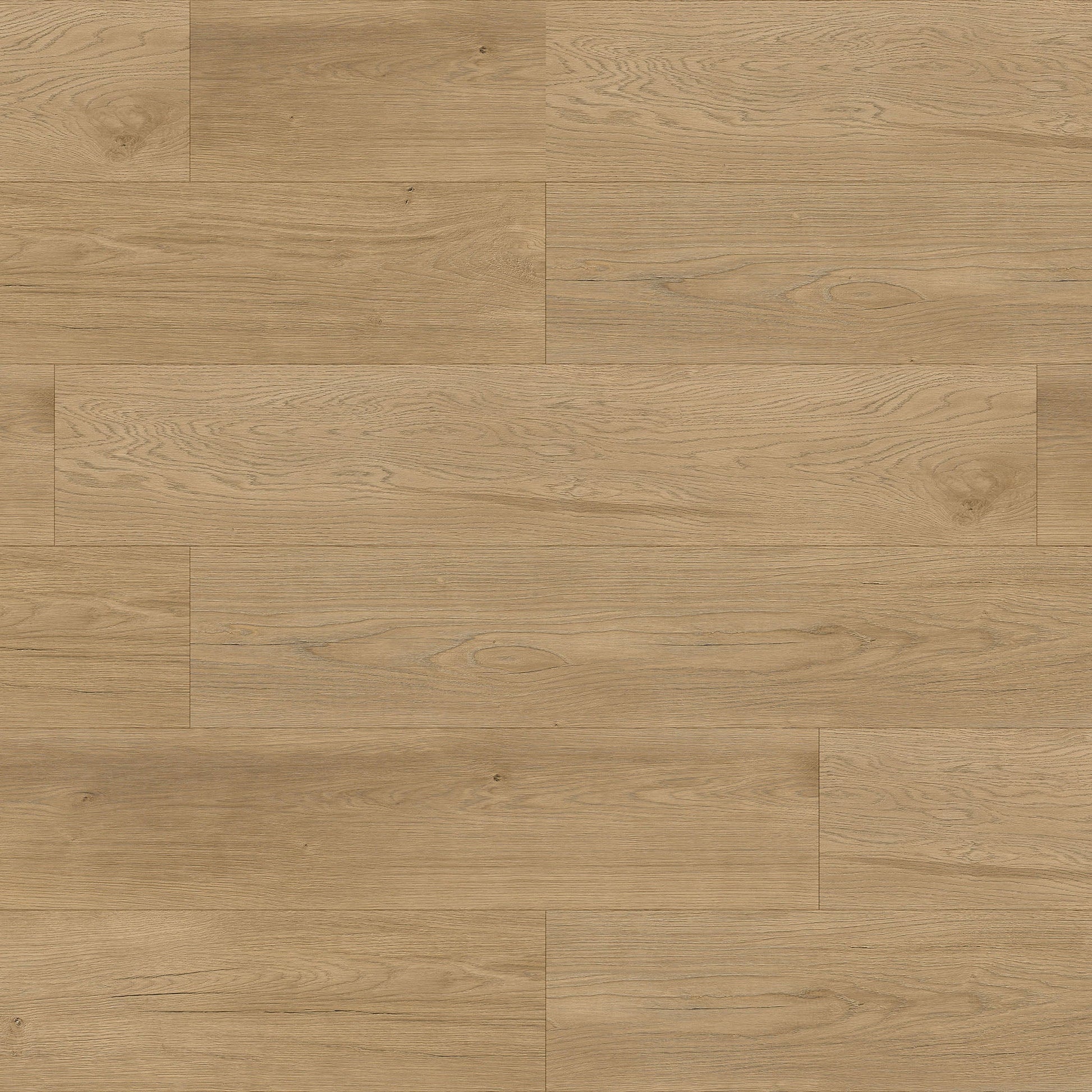 AVALON OAK LIGHT